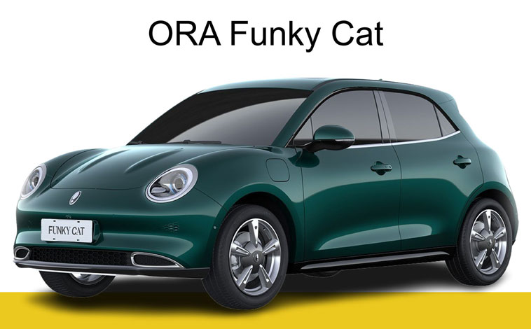 ORA Funny Cat